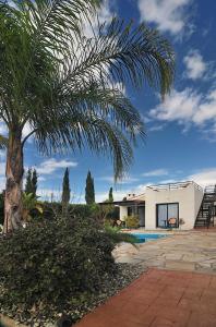 a house with a palm tree and a swimming pool at Villa Anna Maria in Coral Bay