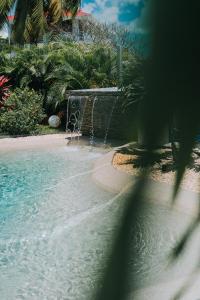 a water fountain on a beach with palm trees at Villas Riviera F4, Le Helleux, calme, lagon privé in Sainte-Anne