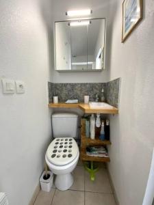 a small bathroom with a toilet and a mirror at Chambre Studio au coeur du Bassin in Biganos