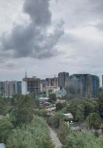 Cozy 3bedrooms Apartment في أديس أبابا: مدينة ذات مباني طويلة وأشجار في يوم غائم