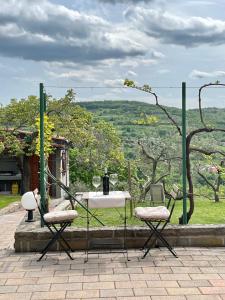 una mesa y sillas con vistas a un campo en Olea Mar apartma, en Pobegi