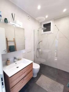 ein Bad mit einem Waschbecken, einem WC und einer Dusche in der Unterkunft Beautiful apartment in Sanremo in Sanremo