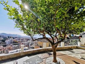 einem Baum auf dem Balkon in der Unterkunft Beautiful apartment in Sanremo in Sanremo