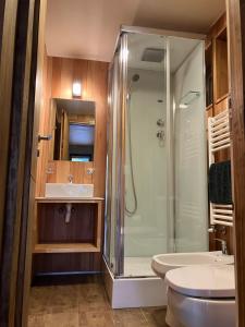 ein Bad mit einer Dusche, einem WC und einem Waschbecken in der Unterkunft HUEPIL ll, Monoambiente centrico in San Martín de los Andes