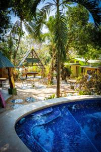 uma piscina com uma mesa e uma palmeira em Pura Vida Mini Hostel Santa Teresa em Santa Teresa