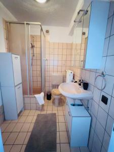 y baño con lavabo, ducha y aseo. en Nik Apartment, en Oberhausen