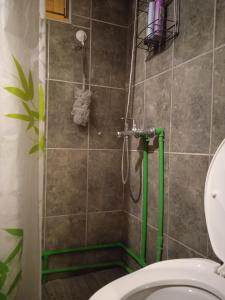 ein Bad mit einer Dusche und einem WC in der Unterkunft Naša kuća-Veruša in Veruša