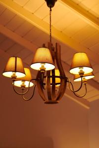 una lámpara colgando del techo en LE JARDIN DU FORT - GALLE, en Galle 93 fotos más