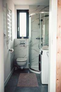 a bathroom with a shower and a toilet at Las Angels in Morąg