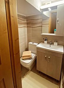 a bathroom with a toilet and a sink and a mirror at August castle house in Mestá