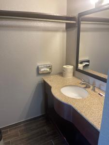 a bathroom with a sink and a mirror at Linder Motor Lodge in Homer