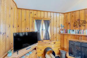 a living room with a television and a fireplace at Idyllwild Retreat in Idyllwild +14 photos