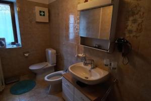 ein Badezimmer mit einem Waschbecken, einem WC und einem Spiegel in der Unterkunft Armonia edificio storico del 1563. in Cevio