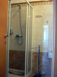 La salle de bains est pourvue d'une douche avec une porte en verre. dans l'établissement Apartment Irena, à Premantura