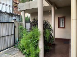 Zahrada ubytování Oasis Colombo
