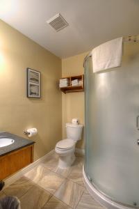 a bathroom with a shower and a toilet and a sink at Alpine Motor Inn in Alma