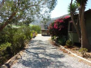 a driveway leading to a house with trees and flowers at Malibu Peaceful Cottage, Near Beach & Hiking Trails in Malibu