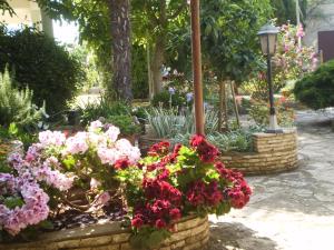 Κήπος έξω από το Apartment Silva free wifi free parking