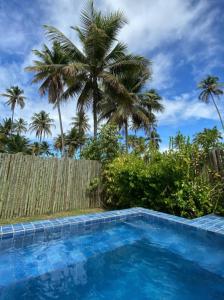 uma piscina azul com palmeiras ao fundo em Chalés Solar do Patacho em Porto de Pedras