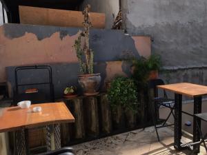 two tables and chairs with potted plants on a wall at Titan House Hostel in Izmir