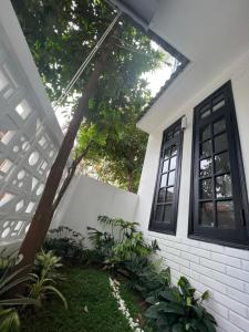 Ein Garten an der Unterkunft ANH’s HOUSE