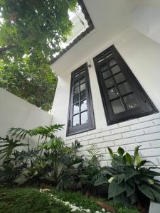 Ein Garten an der Unterkunft ANH’s HOUSE