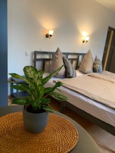 a room with two beds and a potted plant on a table at Hotel Restaurant Syrtaki in Gernsbach