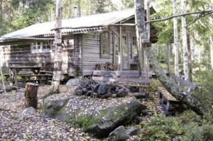 een kleine blokhut midden in het bos bij Einfache Holzhütte für das wahre Naturerlebnis am See in Ytterhogdal