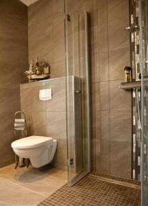 een badkamer met een toilet en een glazen douche bij Wohnung mit Panoramaverglasung und Meerblick in Dziwnówek