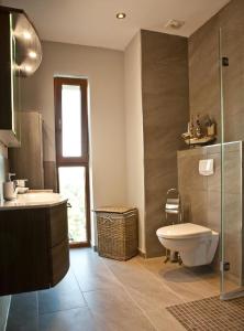 een badkamer met een toilet, een wastafel en een douche bij Wohnung mit Panoramaverglasung und Meerblick in Dziwnówek
