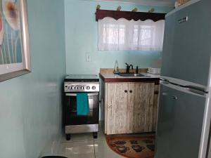a small kitchen with a stove and a sink at Memories by the Shore in Negril