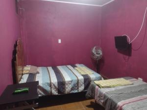 two beds in a room with purple walls and a fan at flying monkey hostel in Nazca