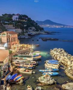 Природа в окрестностях апартаментов/квартиры