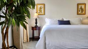 Un dormitorio con una cama blanca y una planta en Casa Tamayo en Ciudad de México