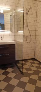 een badkamer met een douche en een wastafel bij Rembrandthuis in Ommen