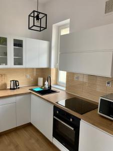 Kuchyňa alebo kuchynka v ubytovaní Apartament Pod Haffnerem