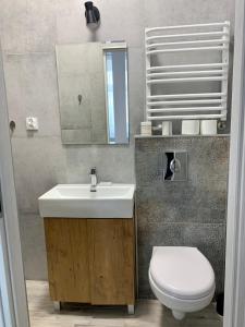 Kúpeľňa v ubytovaní Apartament Pod Haffnerem