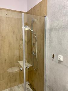 a bathroom with a shower and a sink at Apartament Pod Haffnerem in Sopot