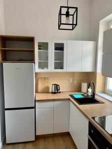 Kuchyňa alebo kuchynka v ubytovaní Apartament Pod Haffnerem