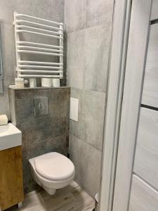 Kúpeľňa v ubytovaní Apartament Pod Haffnerem