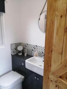 ein Badezimmer mit einem Waschbecken, einem WC und einem Spiegel in der Unterkunft Lakes and Eden Valley. Thornhill Cabin in Long Marton