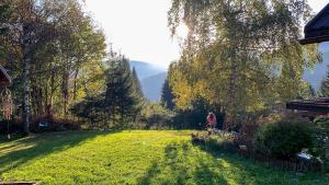 Vrt pred nastanitvijo Dwarfs cabin overlooking Julian Alps near Bled