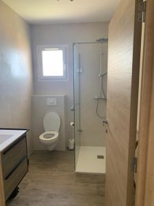 a bathroom with a toilet and a glass shower at Casa di Mare in San-Martino-di-Lota +26 photos