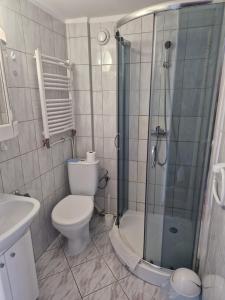 uma casa de banho com um chuveiro, um WC e um lavatório. em Willa AGAT em Ciechocinek