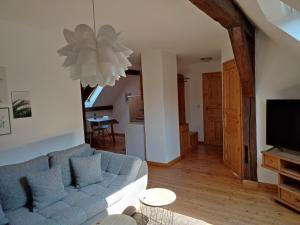 ein Wohnzimmer mit einem blauen Sofa und einem TV in der Unterkunft Steigerwald Ranch in Koppenwind