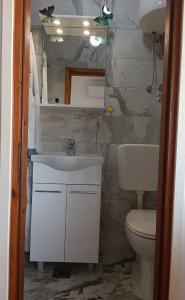 Koupelna v ubytování Apartmani Zlata