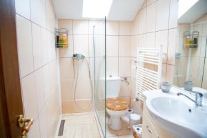 a bathroom with a shower and a toilet and a sink at Casuta-Lacului in Unciuc +32 photos