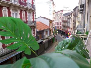 a green leafy plant on a city street with buildings at Au Berceau de Bernadette in Lourdes