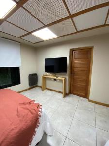 1 dormitorio con 1 cama y TV de pantalla plana en Loft Cabrini en Villa Mercedes