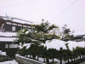 高島市にあるFarmStay INN Sanzaemontei 三左衛門邸 別館 wide room - One group per day, one building available for exclusive useの雪に覆われた庭のクリスマスツリー